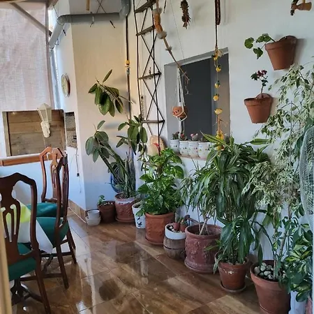 Holiday home Casa Violeta *